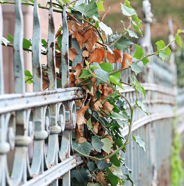 Fence g4031f939a